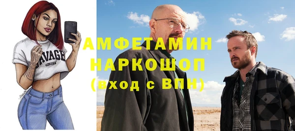 молекула духа Алексеевка