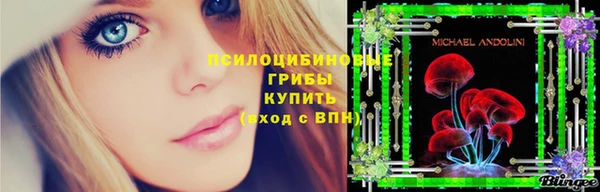 спиды Алзамай