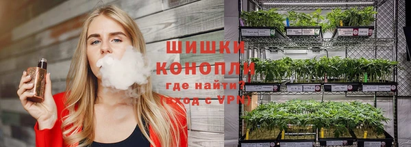 молекула духа Алексеевка