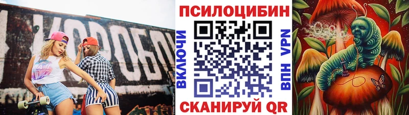 Псилоцибиновые грибы Psilocybe  даркнет сайт  Белебей 