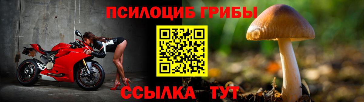 Галлюциногенные грибы Cubensis Белебей